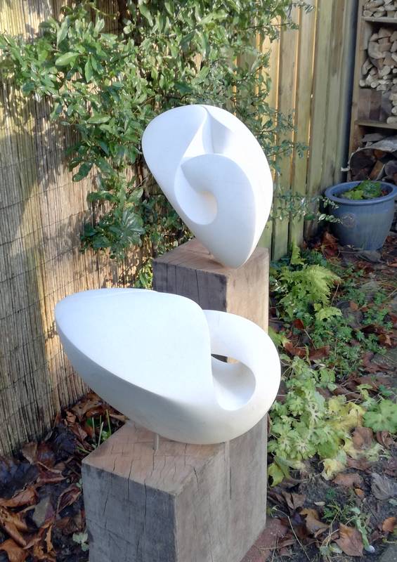 Zwanen paar in oloide